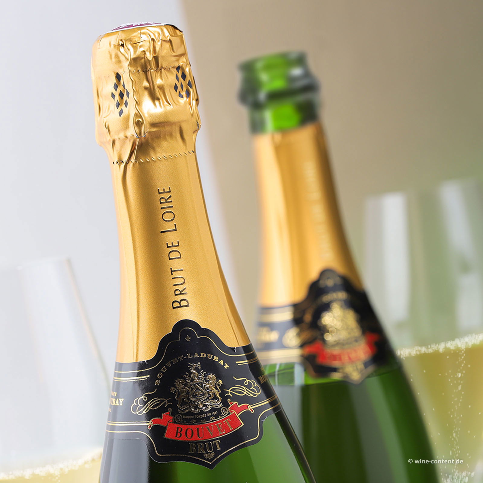 Crémant de Loire Excellence Brut (Lagerschaden)