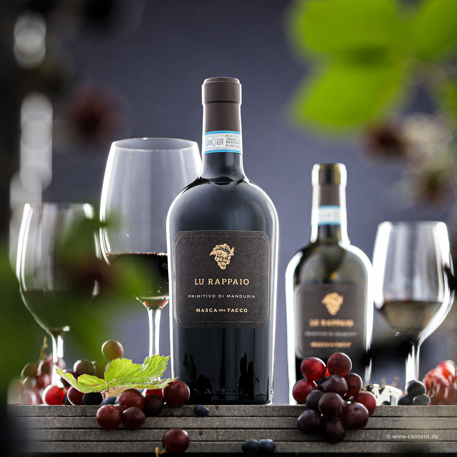 Primitivo di Manduria 2024 Lu Rappaio