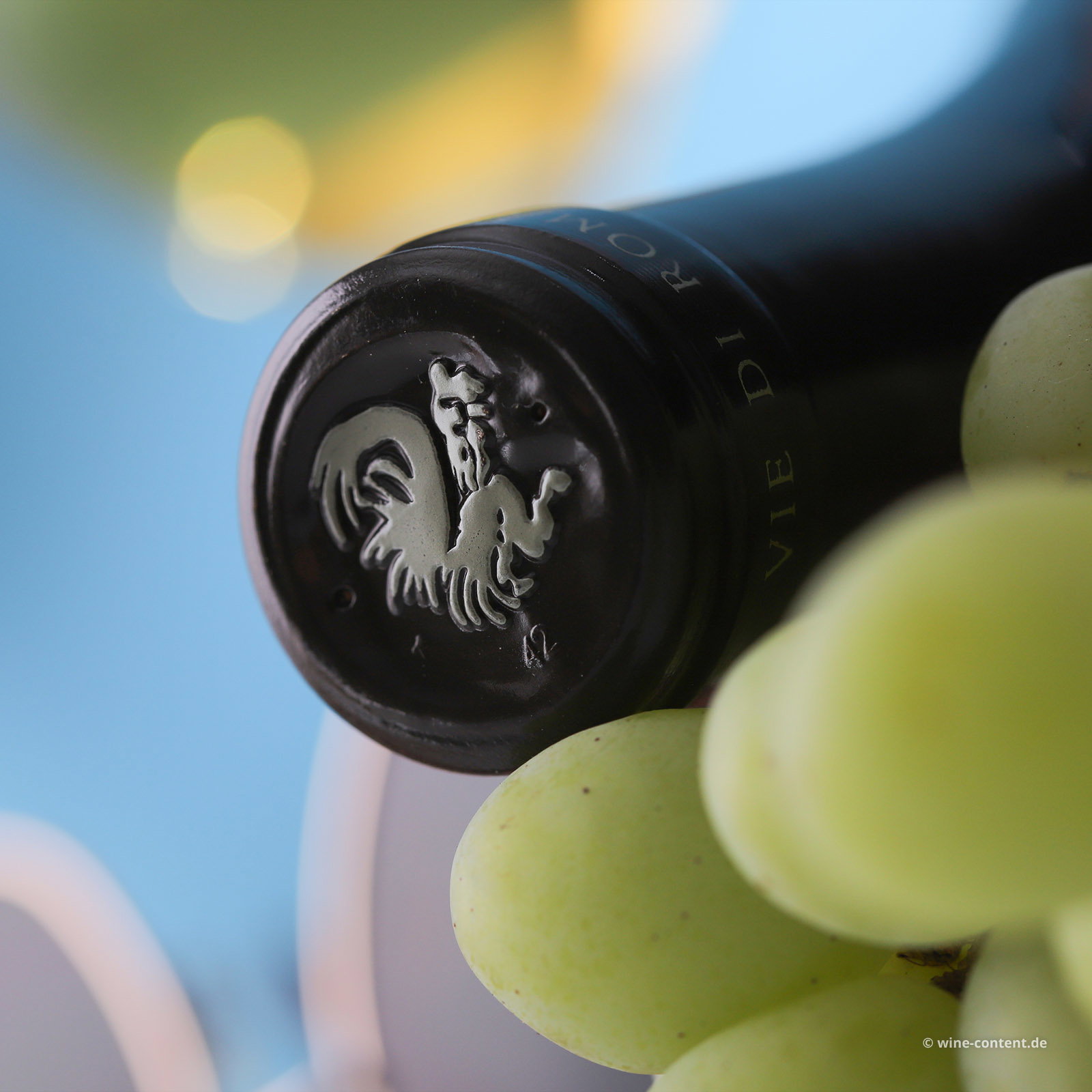 Sauvignon Blanc 2024 Vieris