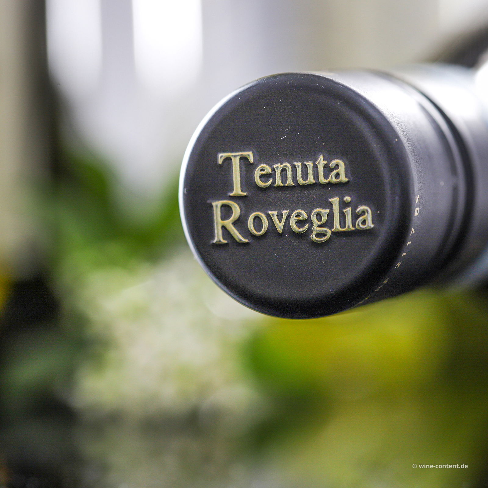 6er-Sparpaket Lugana 2025 Limne