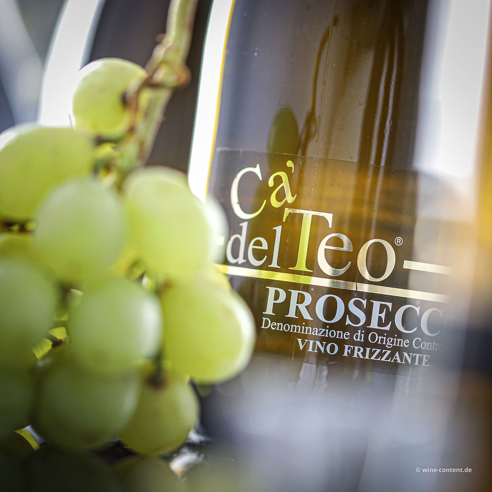 6er-Sparpaket Prosecco Frizzante
