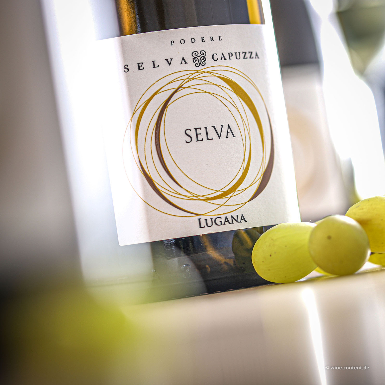 6er-Sparpaket Lugana 2024 Selva