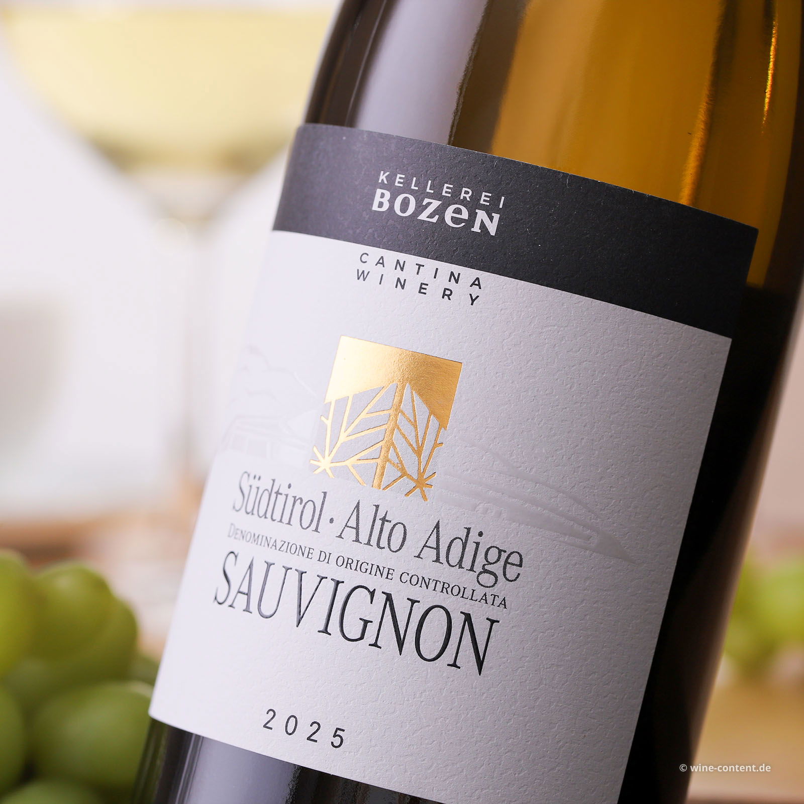 Sauvignon 2025