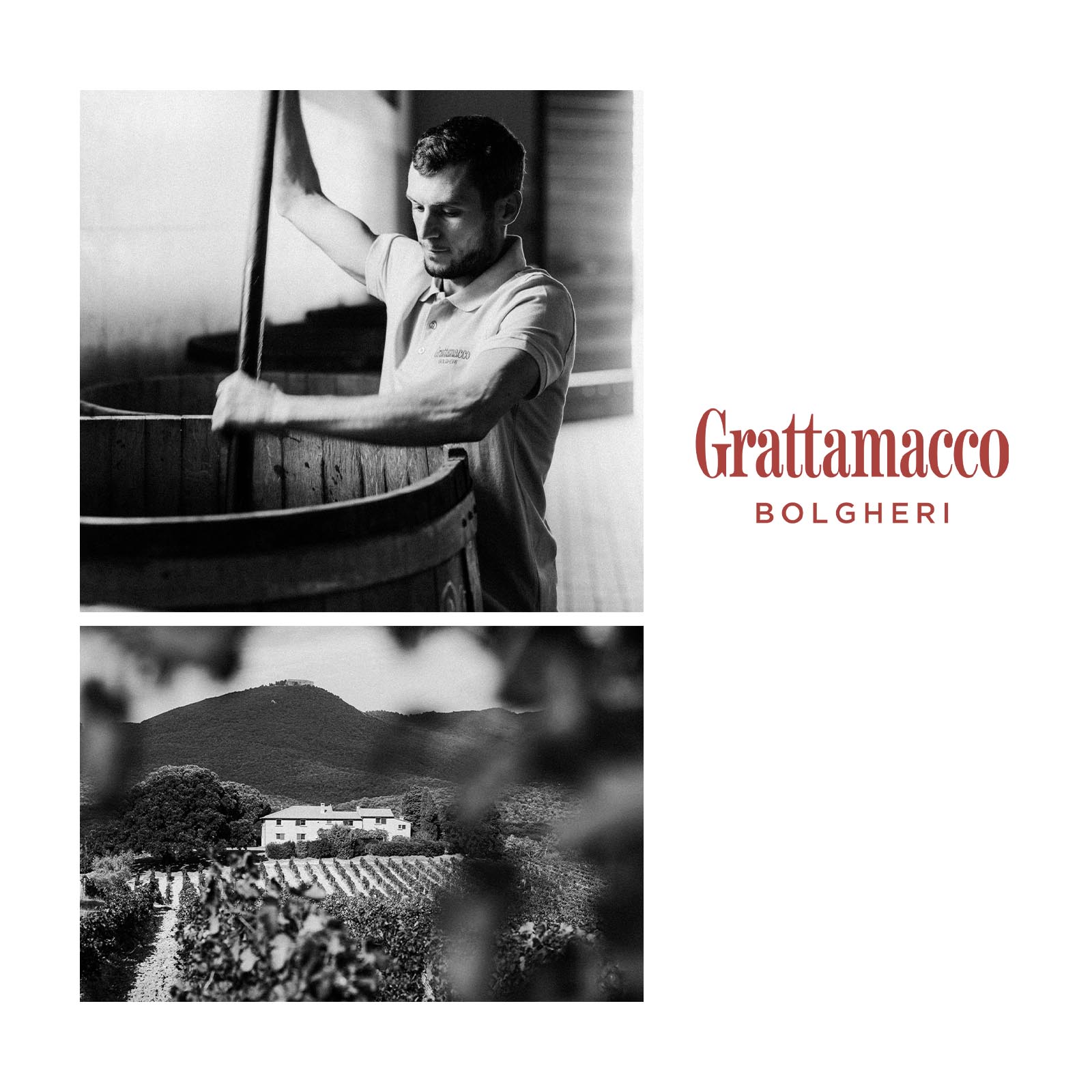 Bolgheri Rosso 2023 Bio