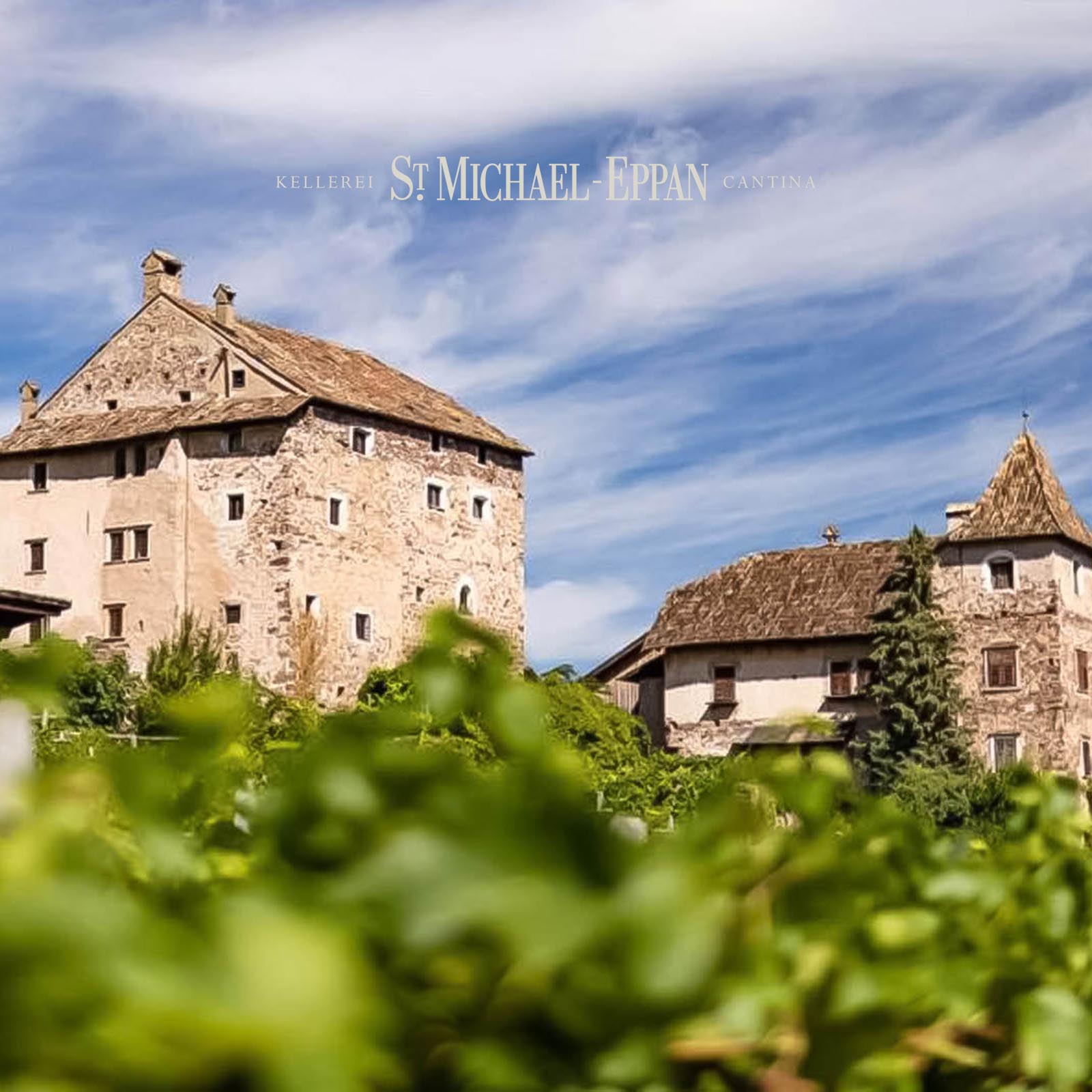 6er-Sparpaket Sauvignon Blanc 2025 Fallwind