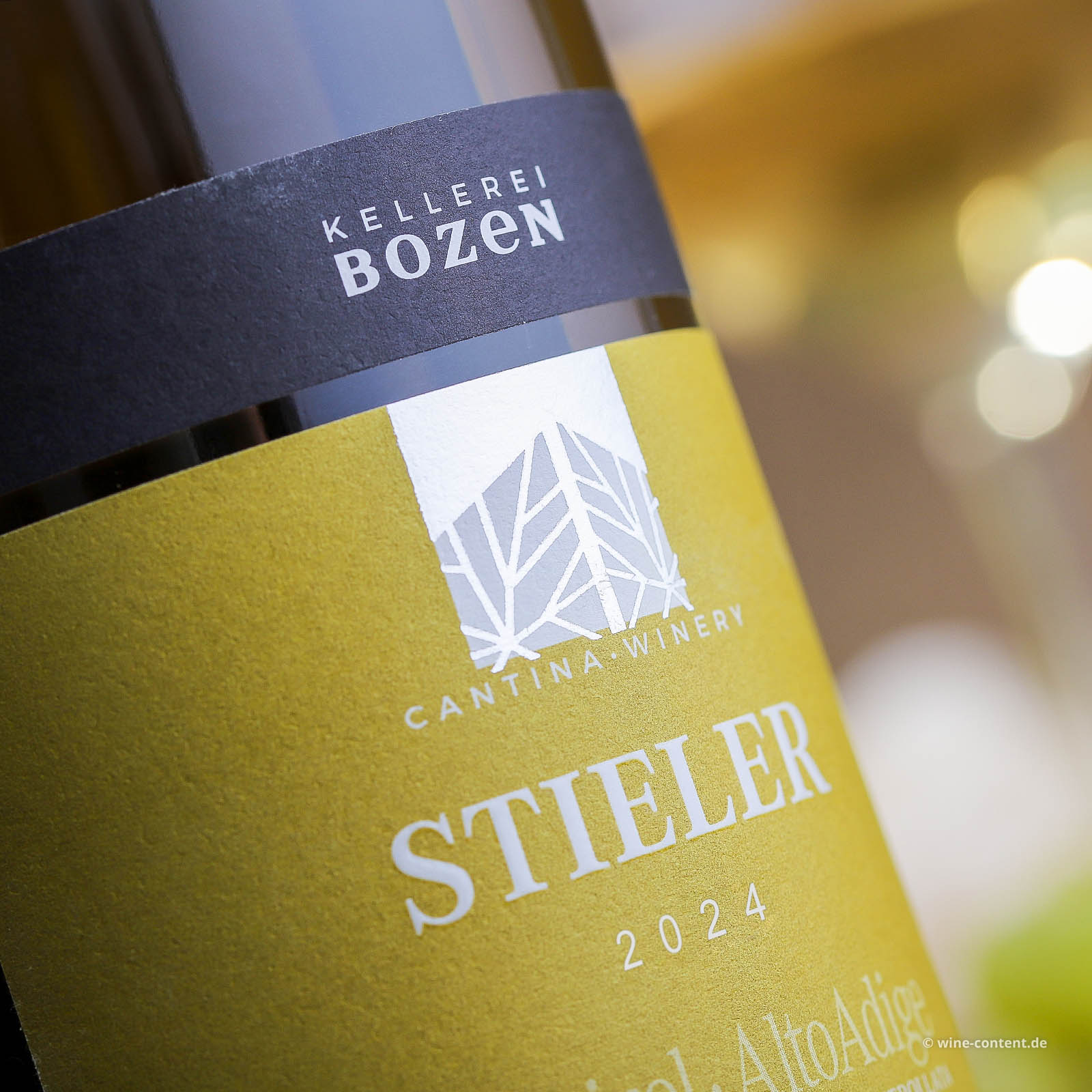 Pinot Grigio 2024 Stieler