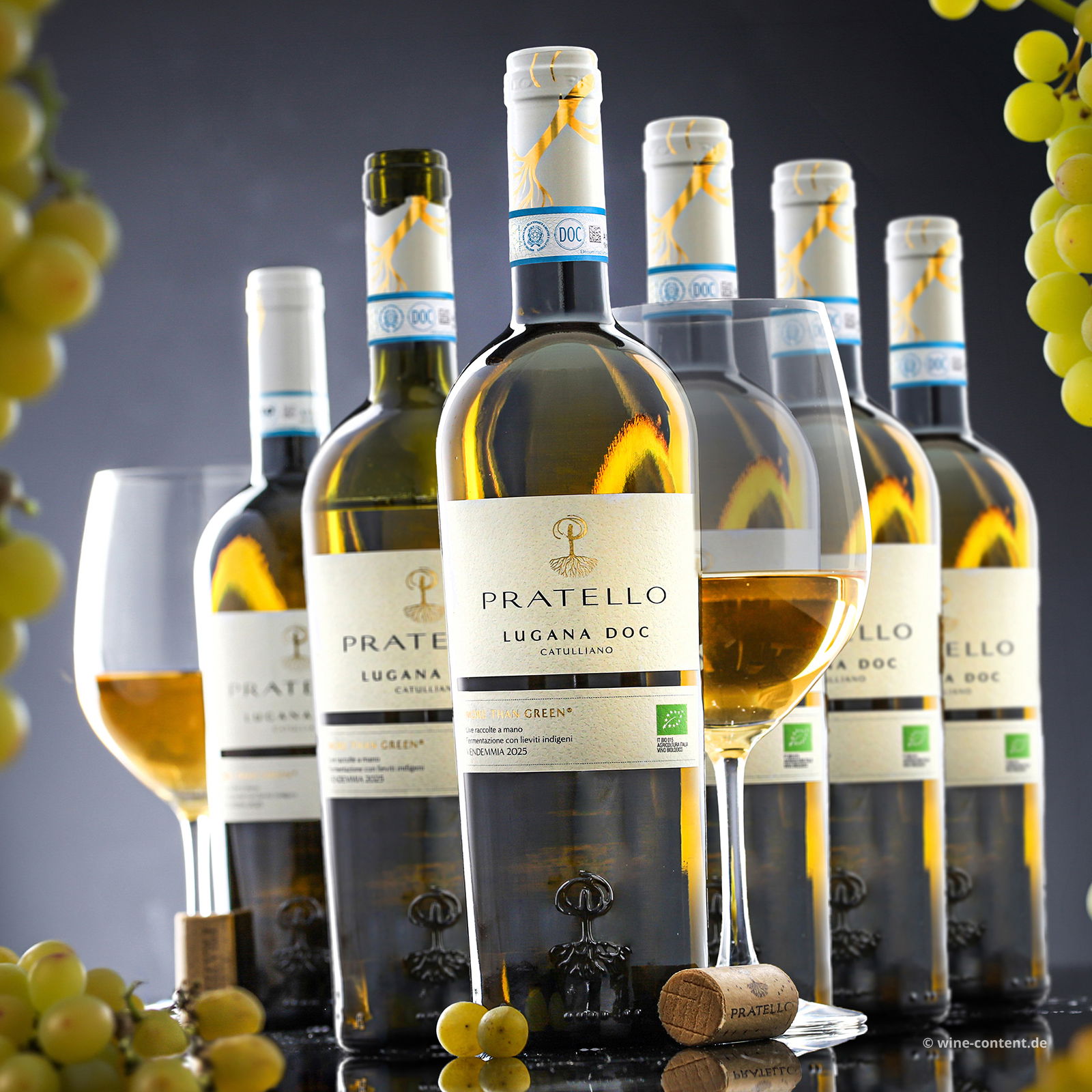 6er-Sparpaket Lugana 2025 Catulliano Bio