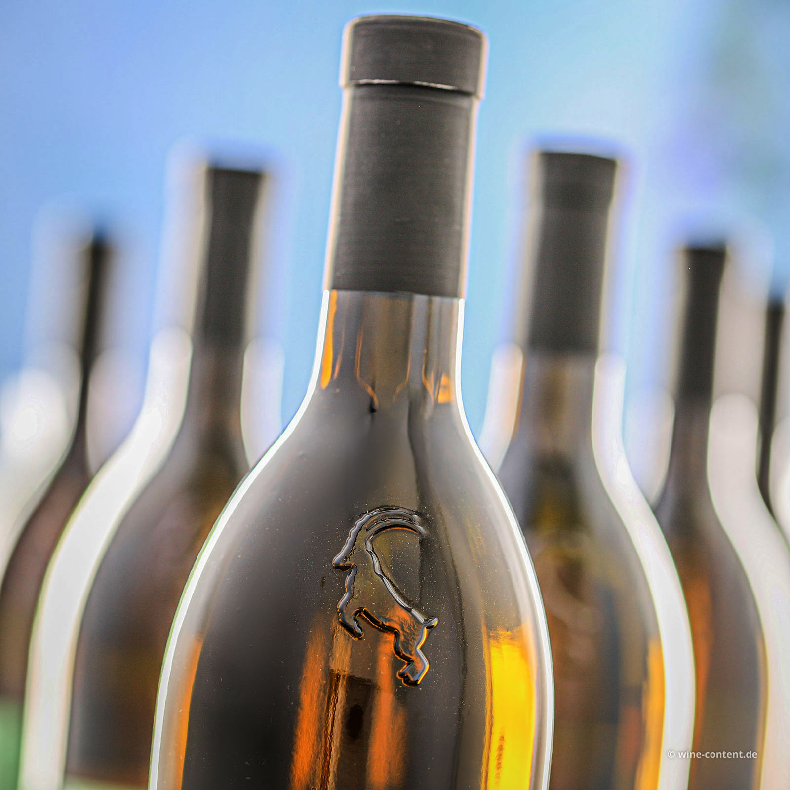 6er-Sparpaket Sauvignon Blanc 2025