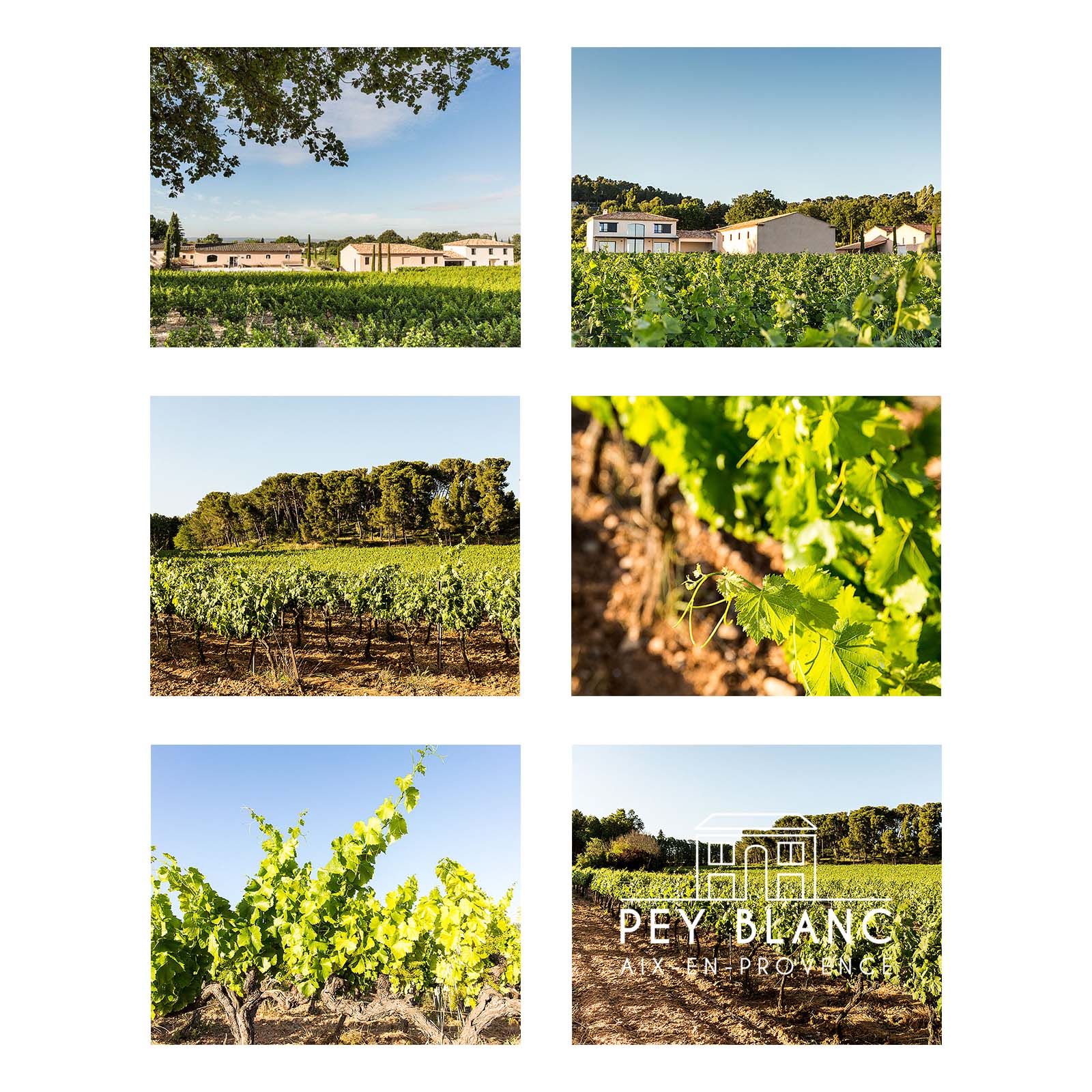 6er-Sparpaket Aix en Provence Rosé 2025 N° 1