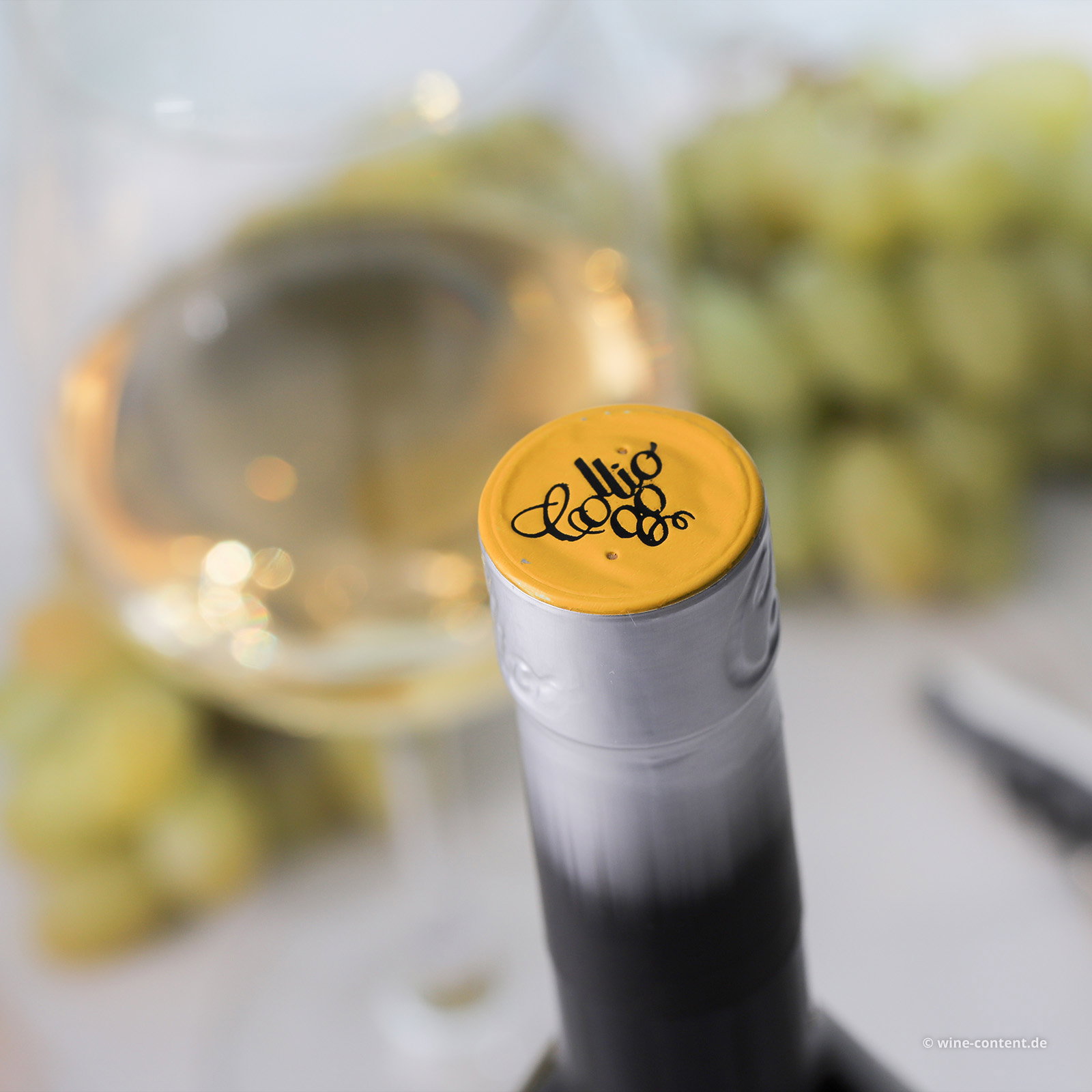 Sauvignon Blanc Collio 2025