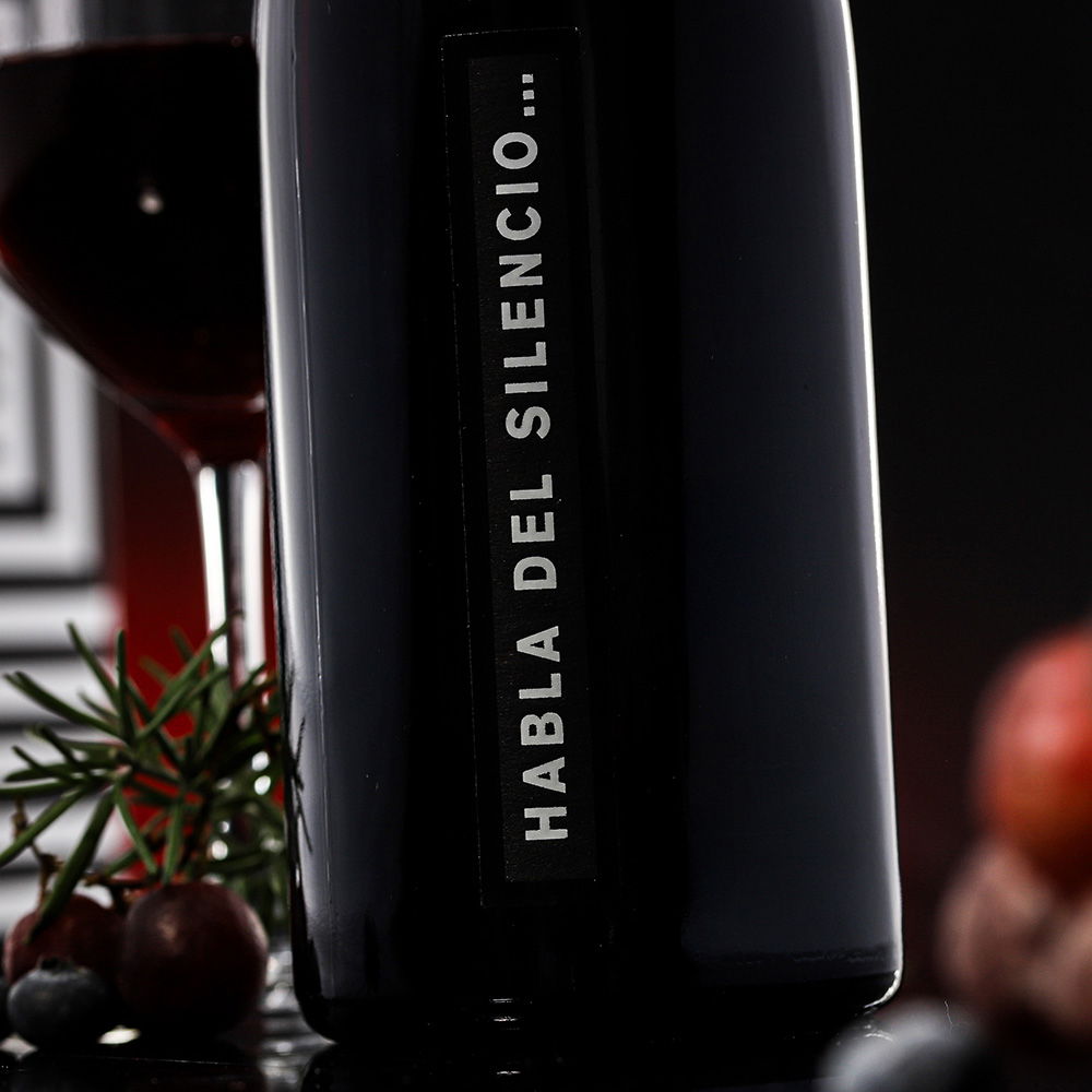 Habla del Silencio 2022