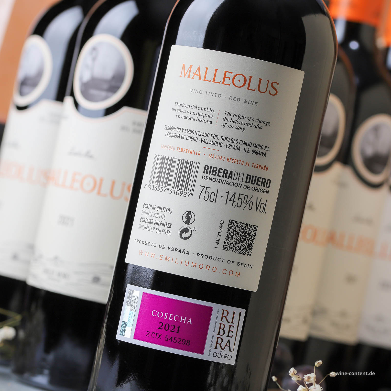 6er-Sparpaket Tempranillo 2021 Malleolus