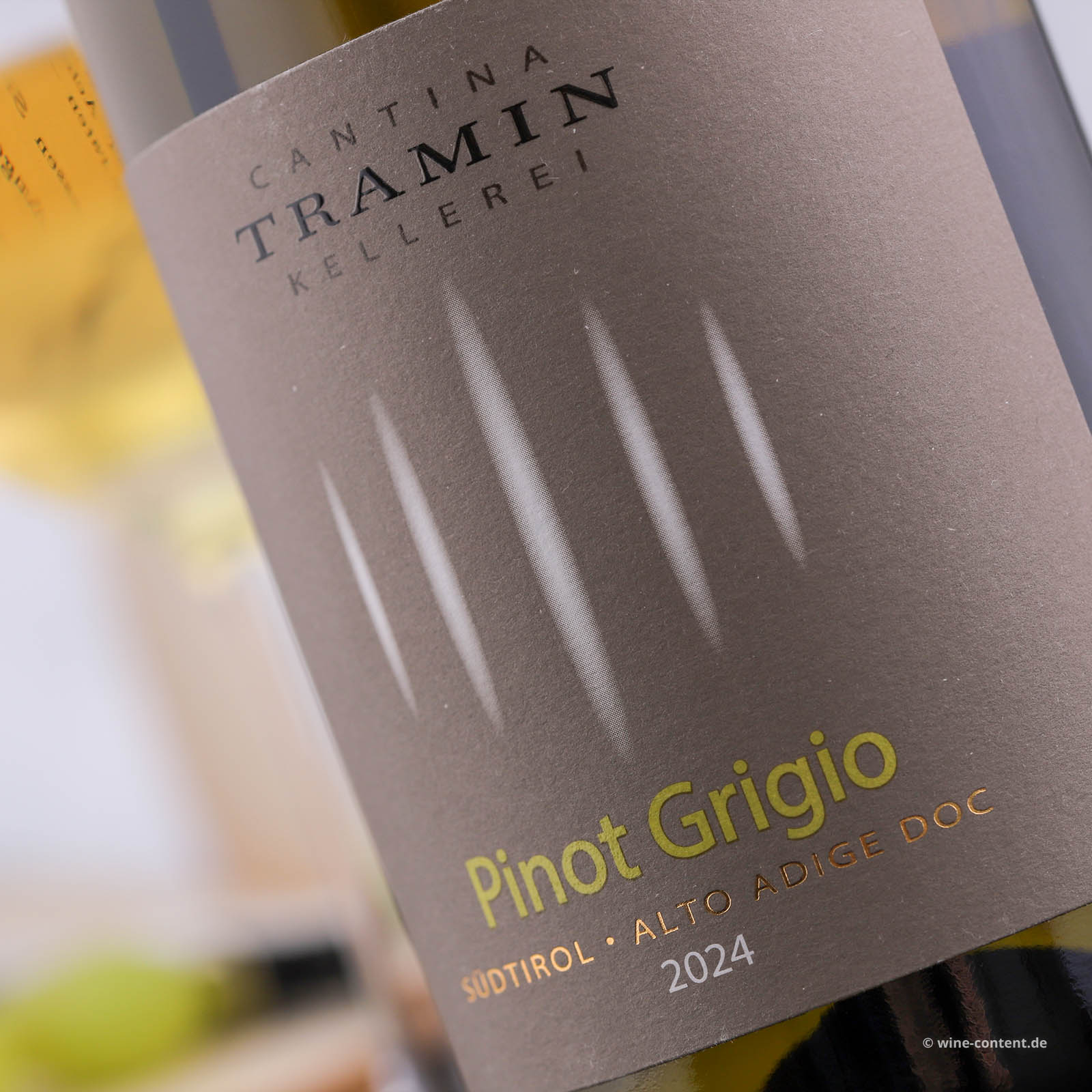 Pinot Grigio 2024 Classic (Lagerschaden)