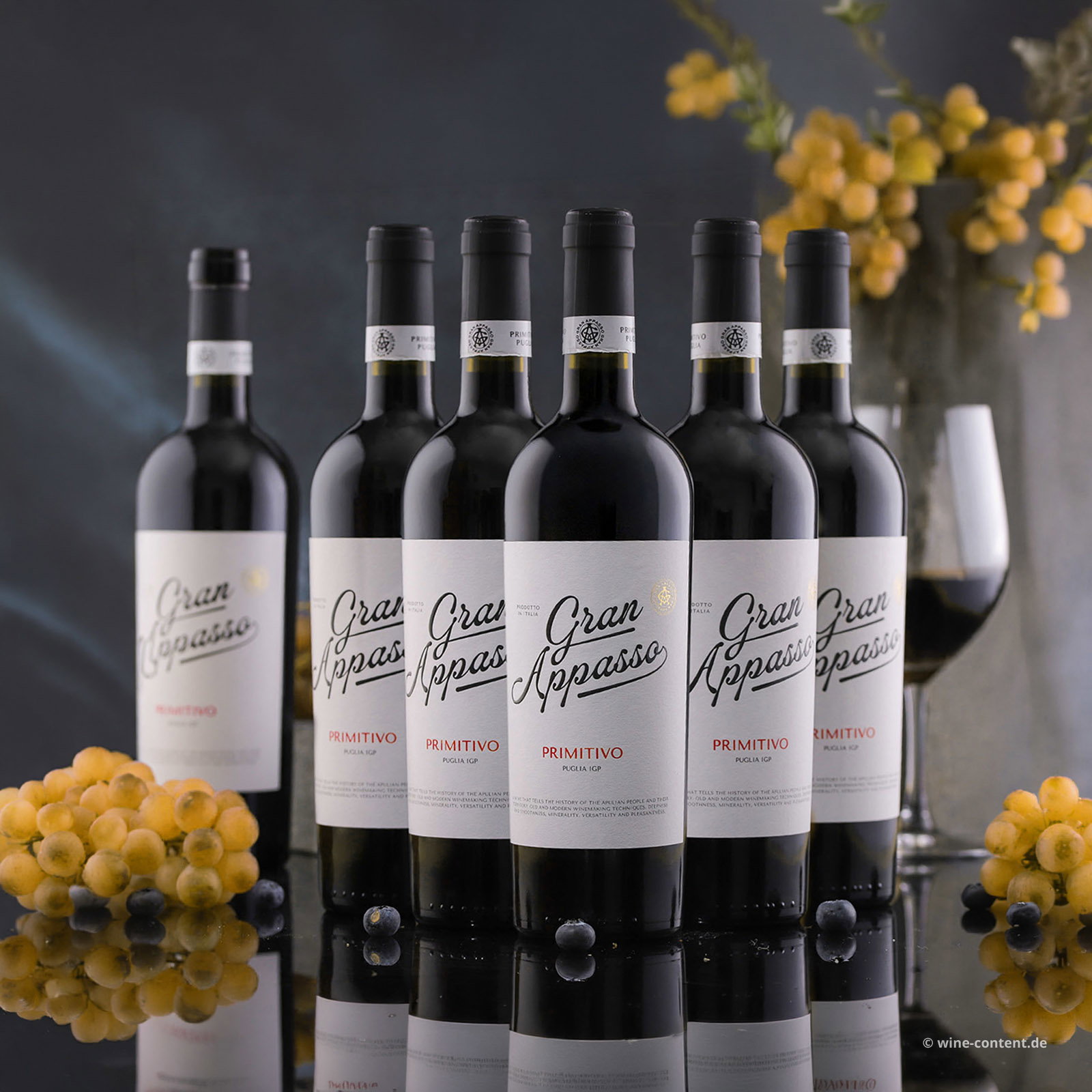 6er-Sparpaket Primitivo 2025 Gran Appasso