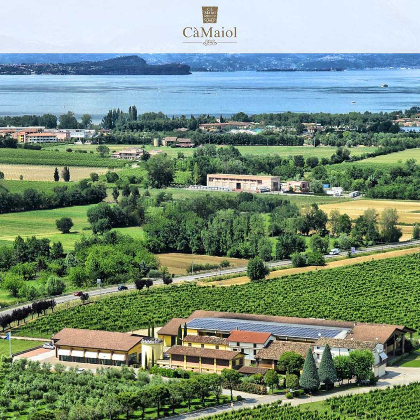 6er-Sparpaket Lugana 2025 Prestige