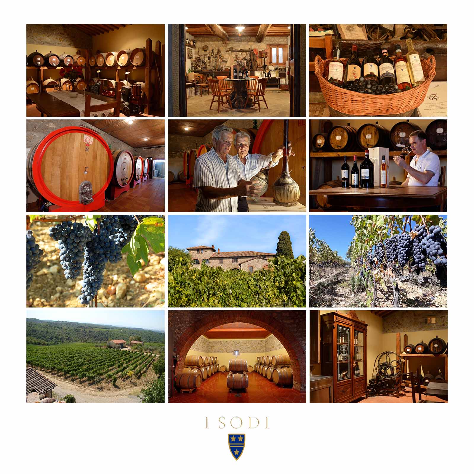 Sangiovese 2019 Farsina