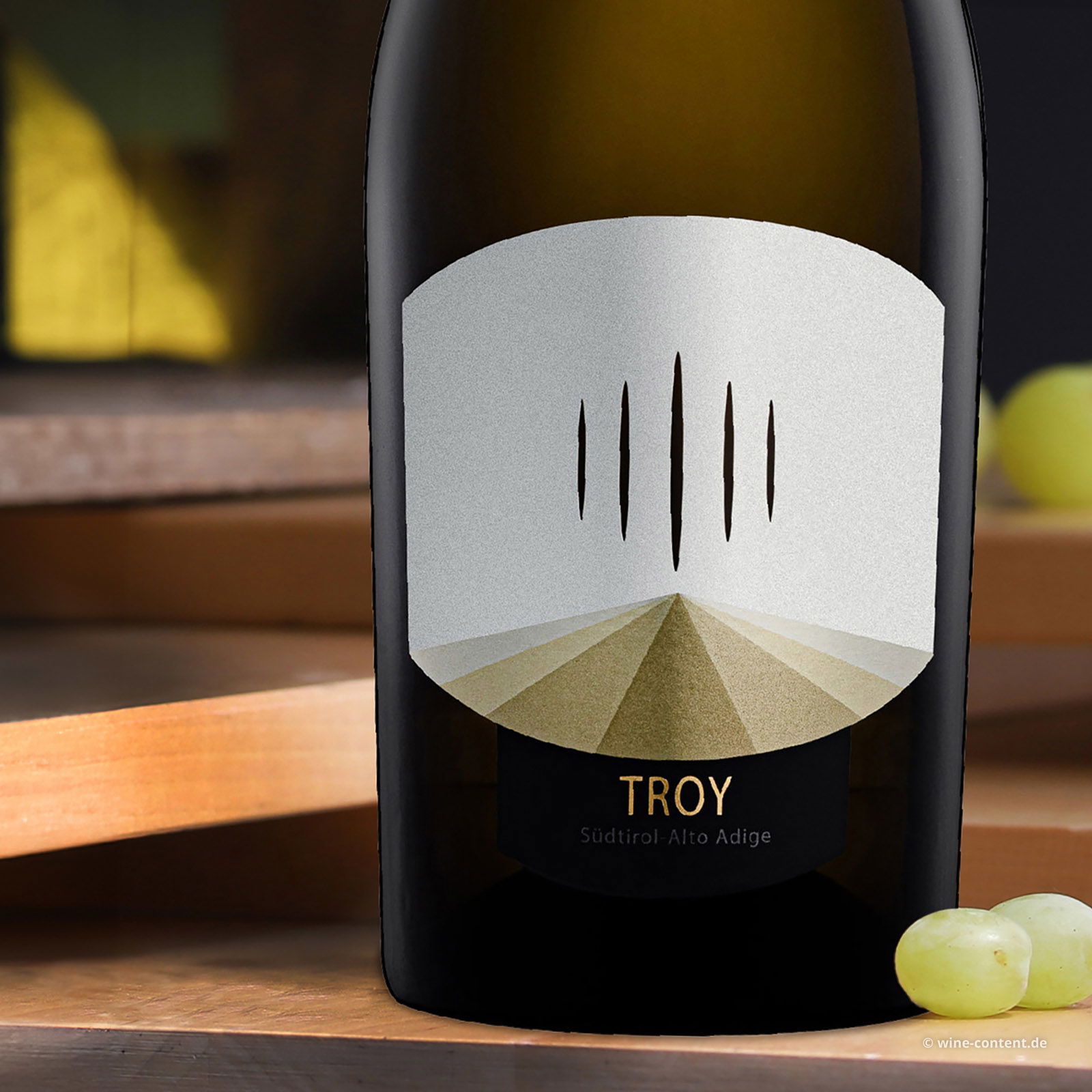 Chardonnay Riserva 2022 Troy Chardonnay Riserva 2022 Troy