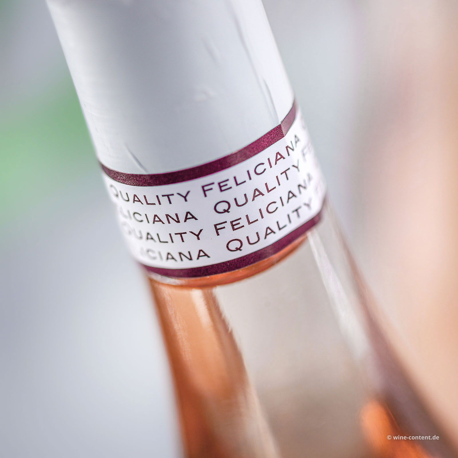Chiaretto Garda Classico 2024 Feudo