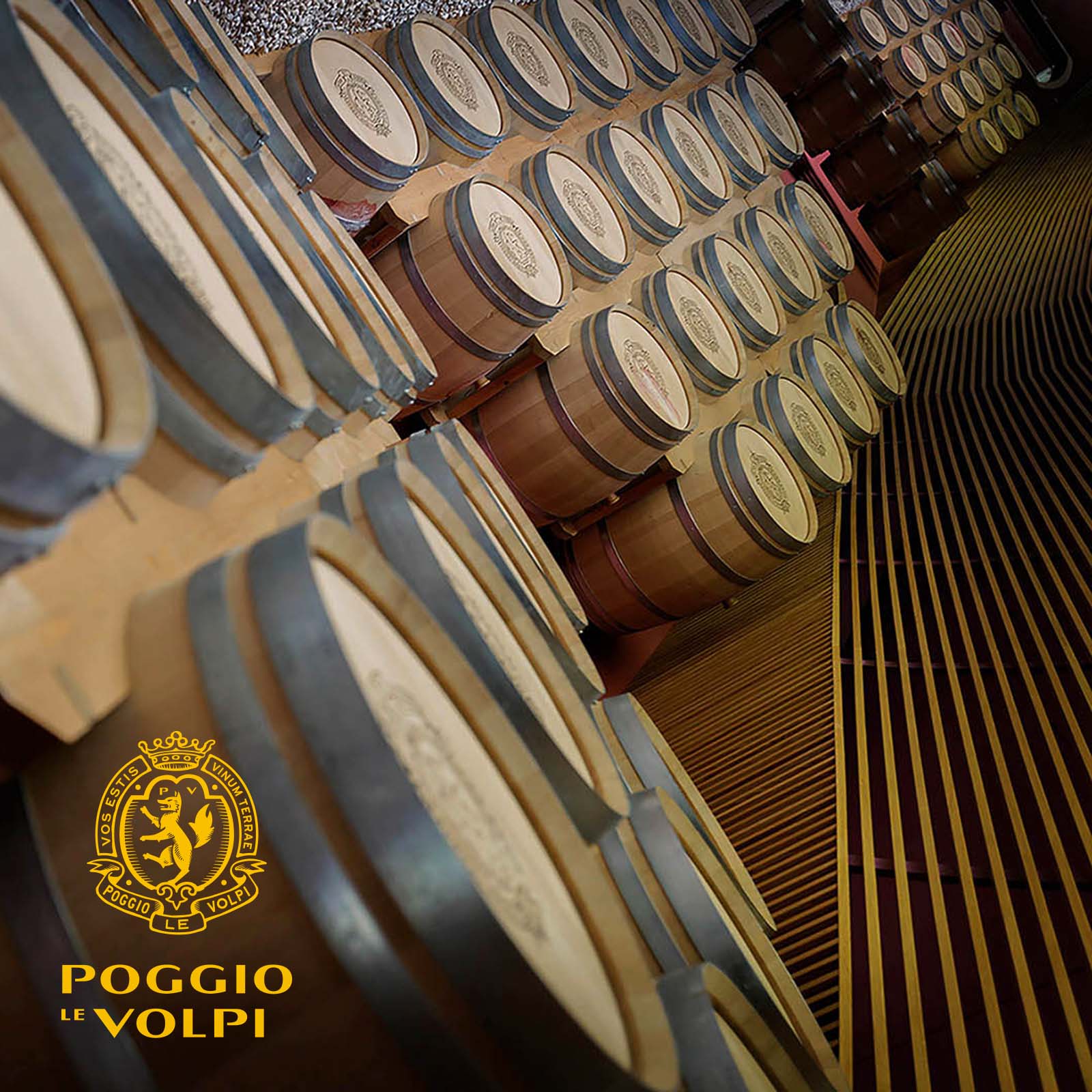 Primitivo 2022 Tator Collezione Privata