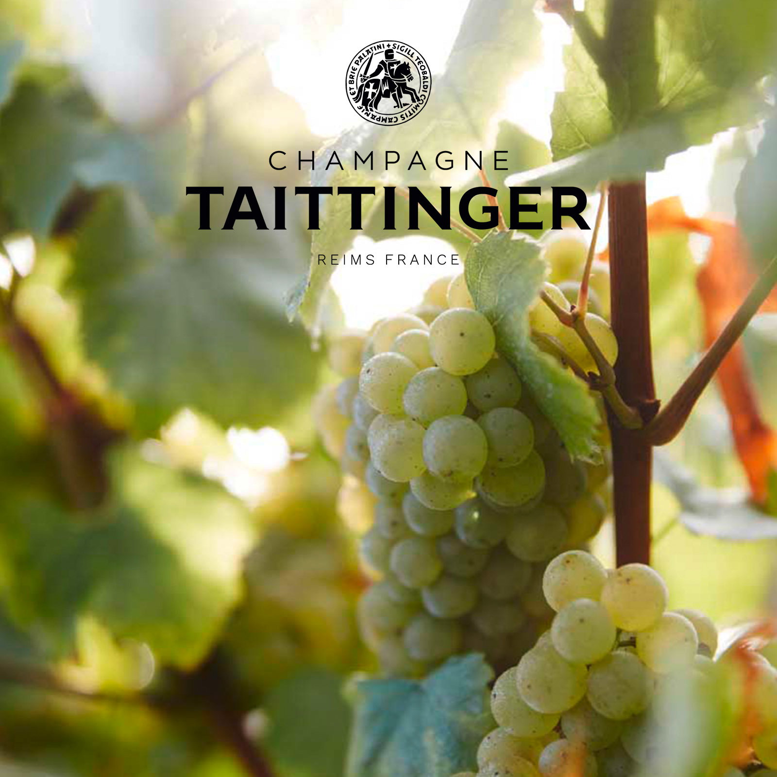 3er-Paket Champagner 2014 Comtes de Champagne Brut