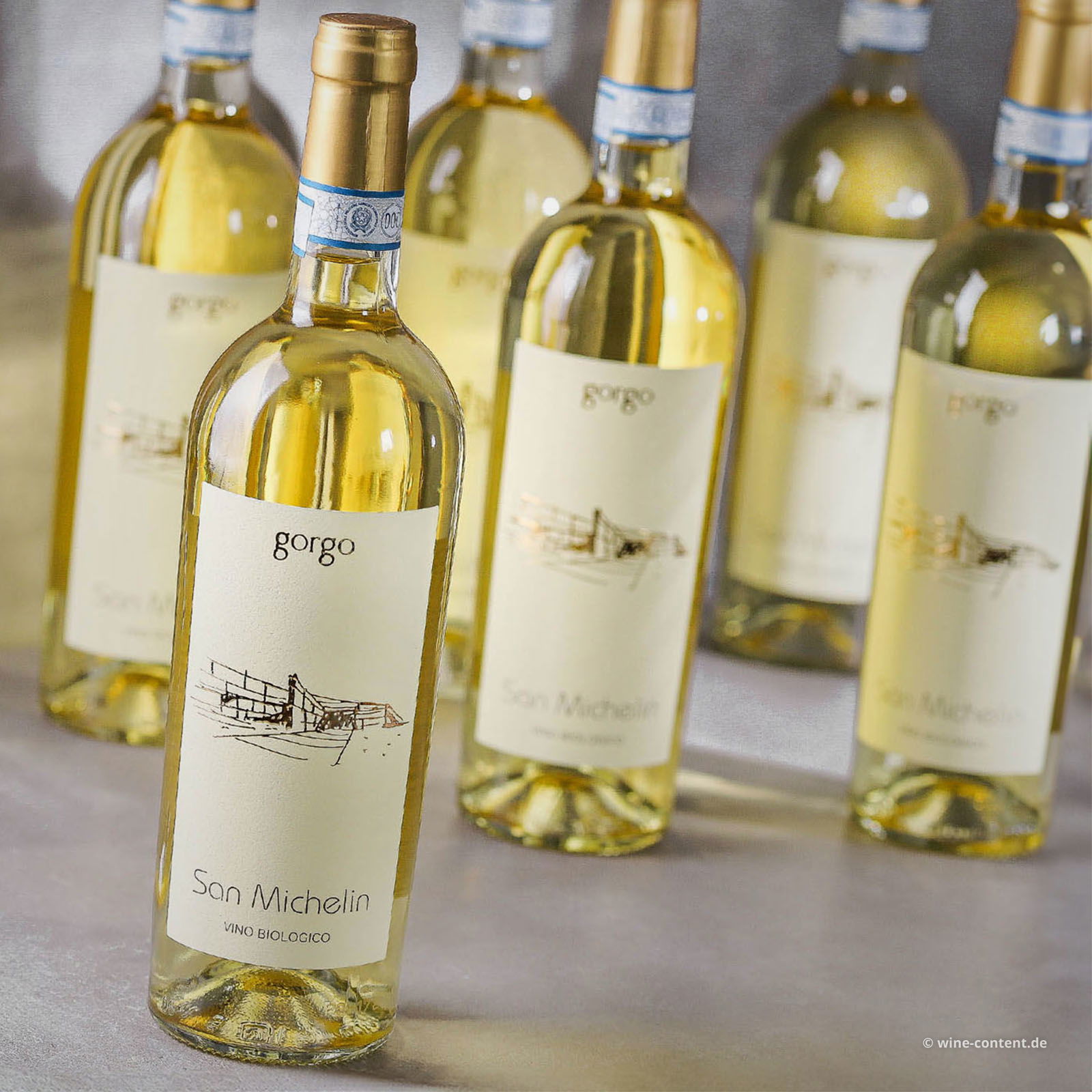 6er-Sparpaket Custoza 2023 San Michelin Bio