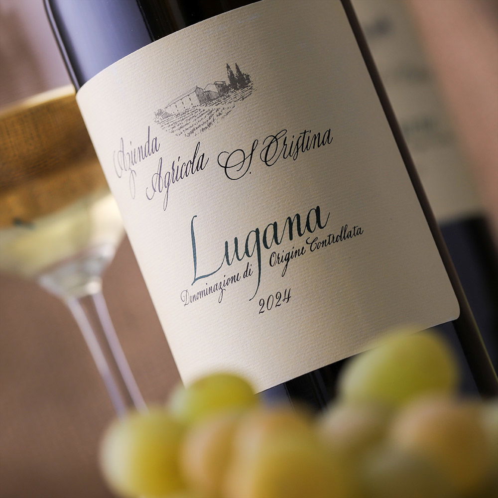 Lugana 2024 Santa Cristina