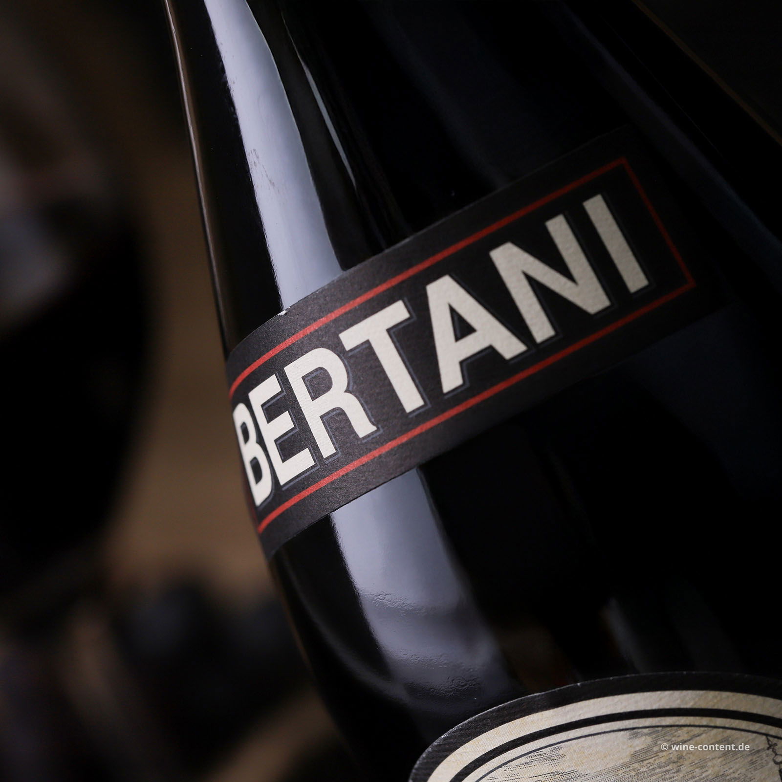 Amarone Classico 2016 Magnum