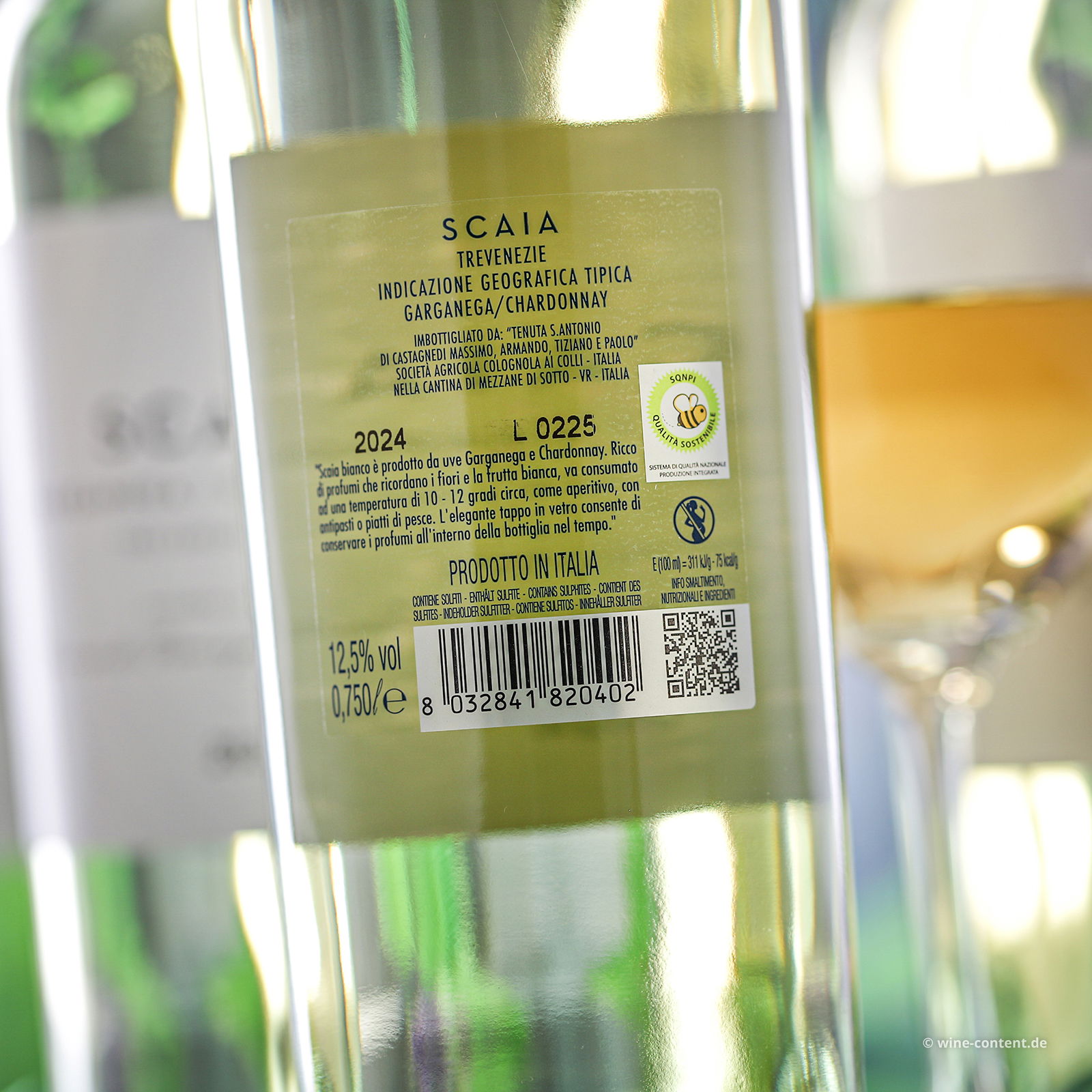 6er-Sparpaket Scaia Bianco 2024