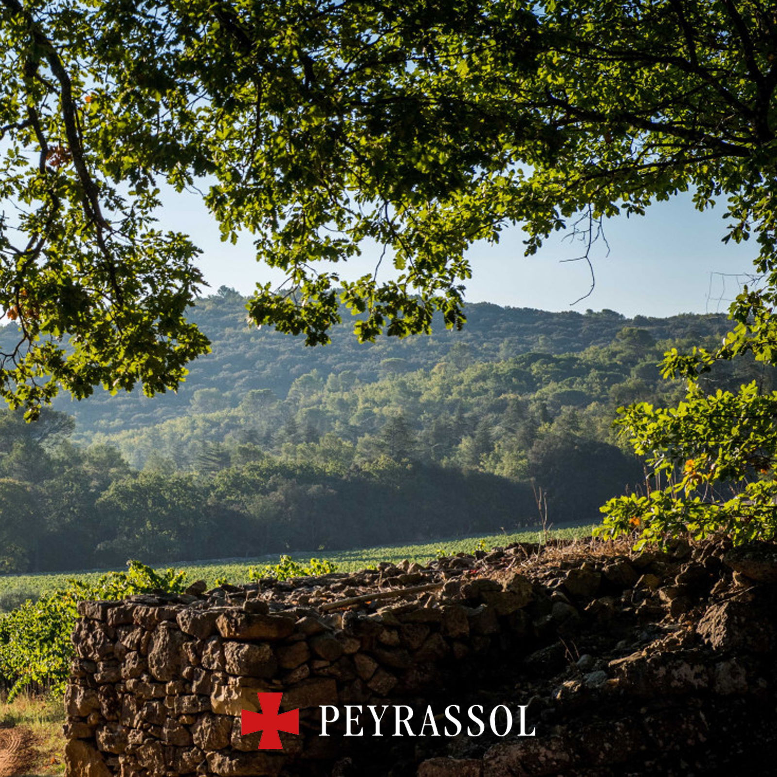 6er-Sparpaket Méditerranée Rosé 2024 La Croix Bio