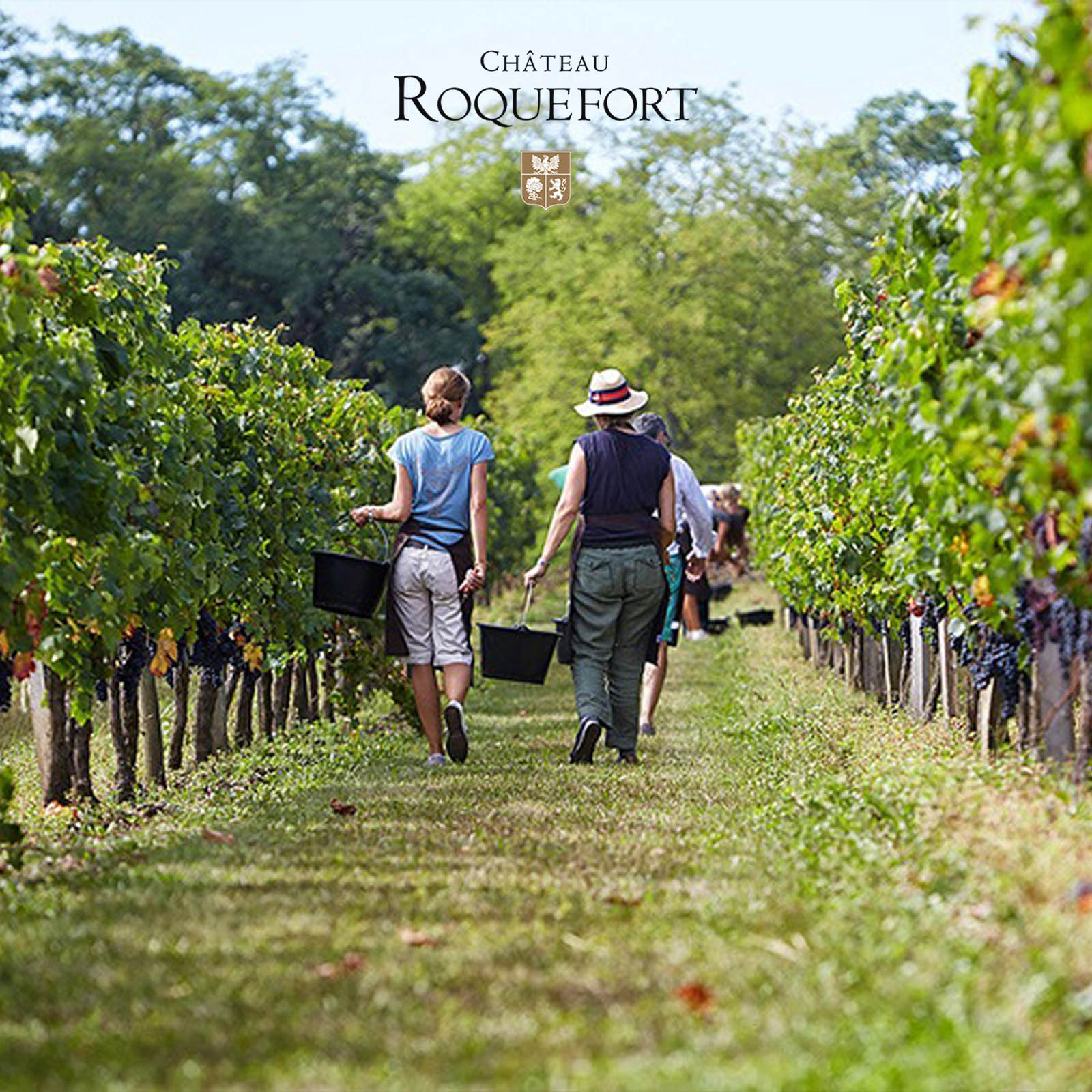 Bordeaux Supérieur 2022 Grande Cuvée