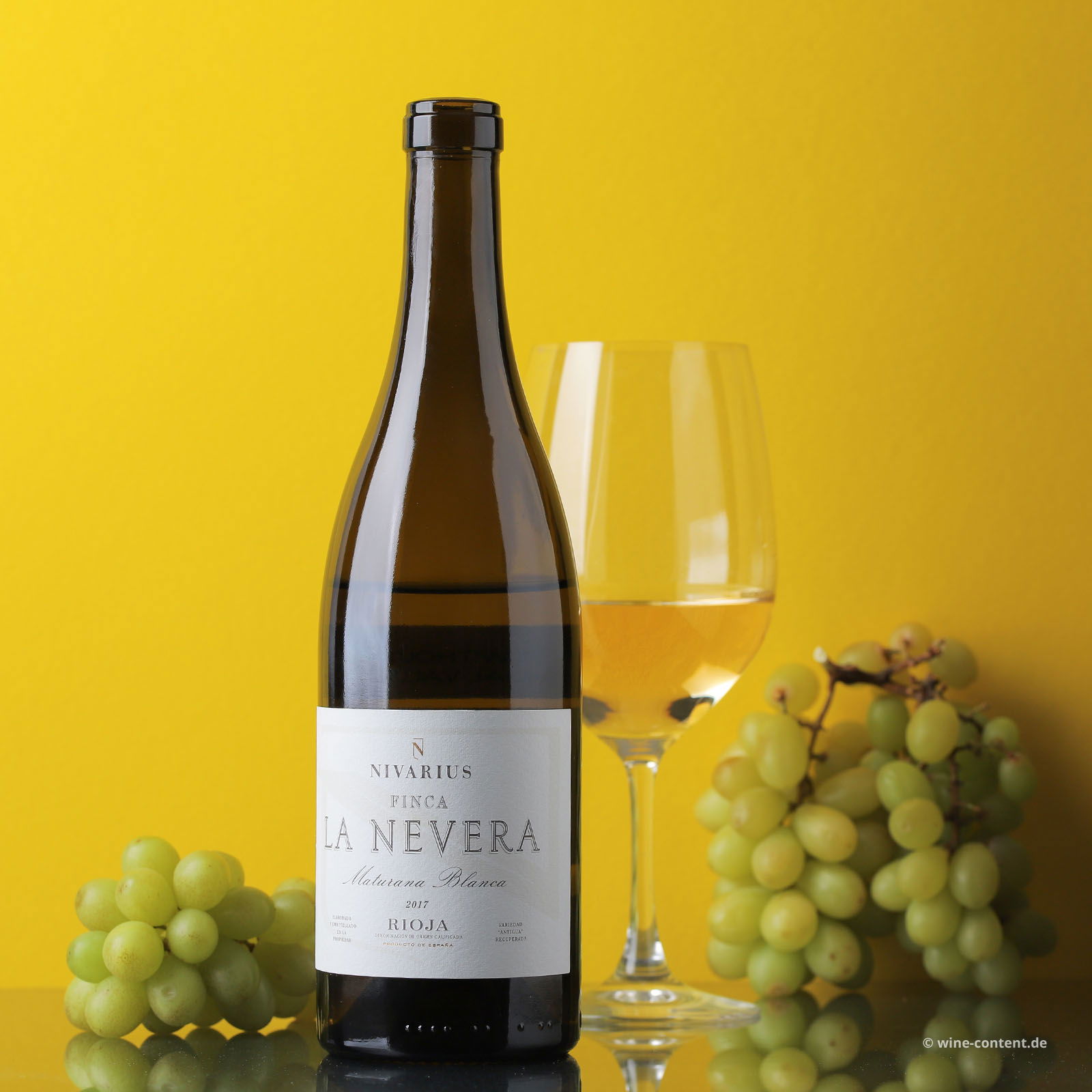 Rioja Blanco 2017 Finca La Nevera