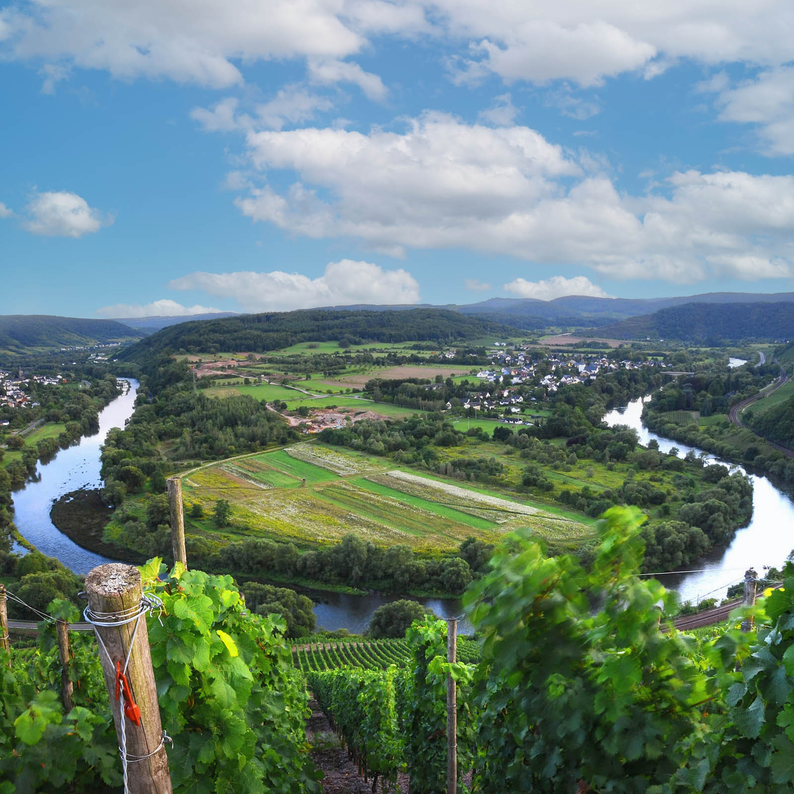 Sauvignon Blanc 2021 Laurenzikapelle Sauvignon Blanc 2021 Laurenzikapelle