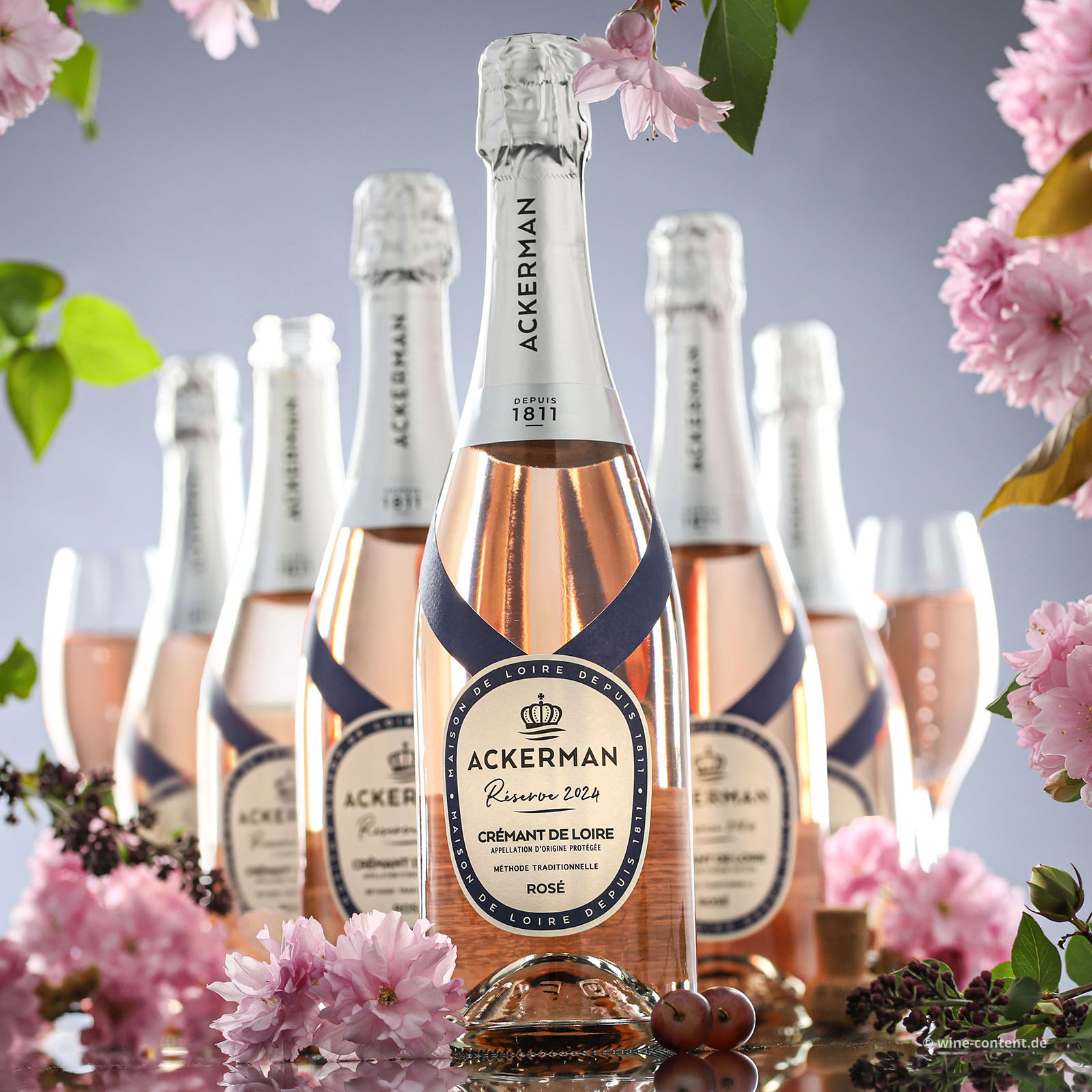 6er-Sparpaket Crémant de Loire Rosé 2024 Réserve Brut